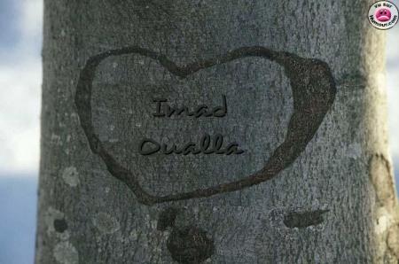 imad